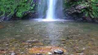 Chute Moreau à Goyave  Guadeloupe [upl. by Juxon]