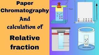 Chromatography and determination of Relative fraction value Biochemistry practical exam [upl. by Zetrok]