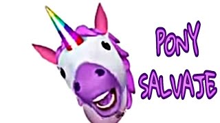 Pony Salvaje Vídeo Canción 🦄🌈  10 MINUTOS [upl. by Stanislaus]