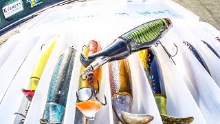 How to Catch Fish on the Whopper Plopper [upl. by Deming]