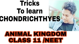 Tricks to learn the examples of CHONDRICHTHYES NCERT CLASS 11 ANIMAL KINGDOM IMP FOR NEET [upl. by Jeraldine]