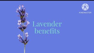 The nature medicine🌱 the lavender🌿the beautiful herb💚 [upl. by Ferretti223]