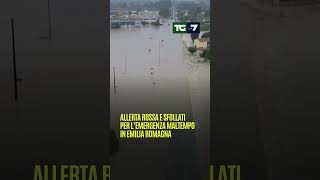 Allerta rossa e sfollati per l’emergenza maltempo in Emilia Romagna [upl. by Ahsiryt]