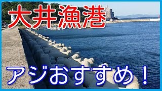 【知多半島】大井漁港の釣り場ポイントを紹介！サビキでアジが釣れるよ～【愛知釣り場】 [upl. by Dyrraj855]