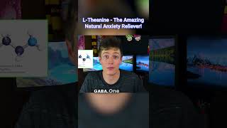 LTheanine Review Best Natural Anxiety Reliever [upl. by Devitt]