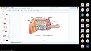 REPASO MUSCULO ESQUELETICO PRACTICA  MIGUEL VILLAGRAN  MICRO I [upl. by Anelram]