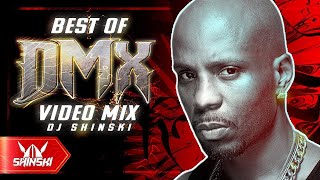 Best of DMX Video Mix  Dj Shinski Party up We right here Ruff Ryders Anthem Where The Hood At [upl. by Billy61]