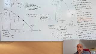 Producción y Costes Rendimientos Decrecientes Factor Variable [upl. by Coopersmith]