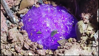 Purple sparkling crystals are growing underground How can I dig them out [upl. by Hama]