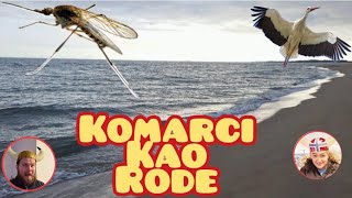 Komarci kao rode [upl. by Enahsed]