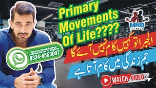 7 Basic Primary Movements of Life  Primary Movement Patterns for Everyday Life  Better Living [upl. by Inobe890]