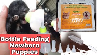 Bottle Feeding Newborn Puppies [upl. by Aiket192]