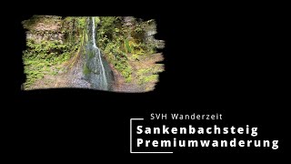 Premiumwanderung Sankenbacksteig in Baiersbronn im Schwarzwalds  Preview [upl. by Caves]