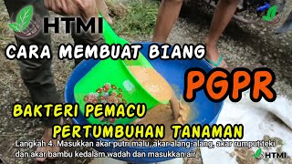 Cara Membuat PGPR Bakteri Perangsang Pertumbuhan Tanaman [upl. by Ahsaenat]