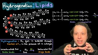 Lipids Hydrogenation of Unsaturated Fats [upl. by Love377]