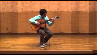 The BoxerliveFingerstyle Guitar [upl. by Stanford]