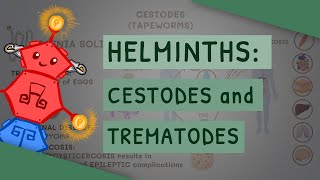 Helminths Cestodes and Trematodes transmission clinical importance and treatment [upl. by Nej]