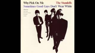 The Standells  Why Pick on Me 1966 [upl. by Marla]