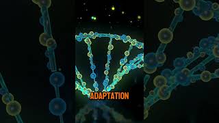 The Role of Genetics in Understanding Human Evolution [upl. by Ybroc948]