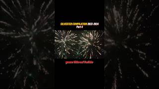 SILVESTER COMPILATION 20232024🧨  Part 4 [upl. by Kall]