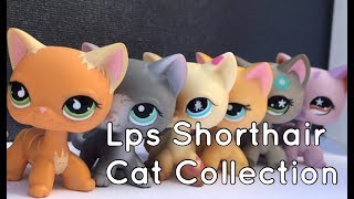 Lps Shorthair Cat Collection [upl. by Selrac]