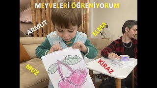 3 YAŞ BOYAMA ETKİNLİKLERİ  MEYVELERİ ÖĞRENİYORUM [upl. by Yanehs]