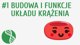 Budowa i funkcje układu krążenia 1  Krążenie [upl. by Carmelle]