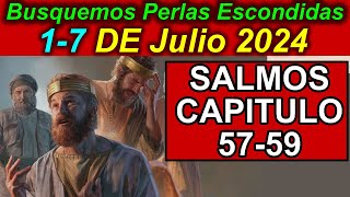 Busquemos PERLAS ESCONDIDAS de esta semana 17 de Julio 2024 Comentarios [upl. by Depoliti405]