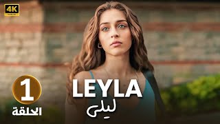 المسلسل التركي مدبلج  ليلى  الحلقة 1 Arabic Dubbed  جودة عالية 4K [upl. by Rick390]