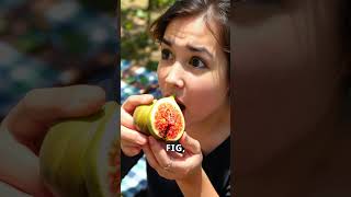 Why Figs Are NonVegetarian The Surprising Truth [upl. by Aryad390]