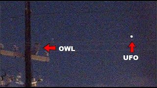 OWL WATCHES UFOS OVER MOUNT LEMMON 91924 in Tucson uaps mountlemmon skycenter [upl. by Gaultiero]