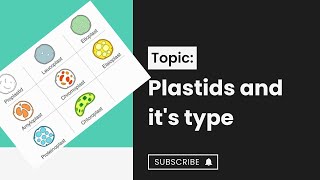 Plastids l types of plastids l Chloroplast l cell structure and function l XI biology [upl. by Ynwat]