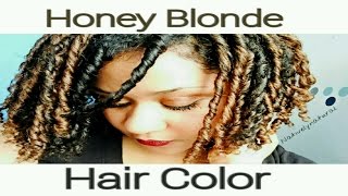 Clairol Textures and Tones Honey Blonde Hair Color Review on Natural Hair [upl. by Atahs612]