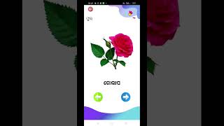 Flower 🌺🌹 name odia shortsytshort Rani Nayak [upl. by Adlesirk]