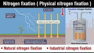 Nitrogen fixation in Hindi  physical nitrogen fixation  natural and industrial nitrogen fixation [upl. by Geno38]