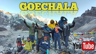 GOECHALA TREK OCTOBER 2024 ll Best trek in Sikkim ll goechala trek all details 👣👣👣🚶🚶🚶❤️❤️❤️ [upl. by Walley]