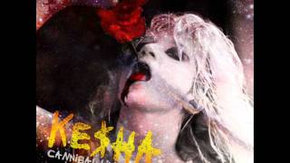 Keha  Cannibal Live  Get Sleazy Tour 2011 Studio Version [upl. by Faith]