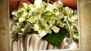 Naturaleza Exquisita Arreglos y decoracionesNovias y banquetesFlores preservadas [upl. by Roose]