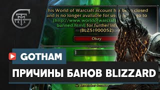 Причины по которым вас банит Blizzard от команды Gothamws [upl. by Gmur]