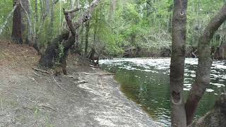 Little Satilla River quotZirklequot [upl. by Karole228]