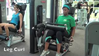 Leg Curl Leg Curl Machine [upl. by Bish]