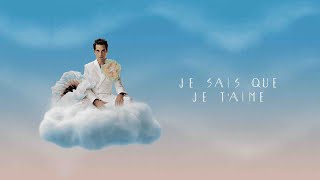 MIKA  Je sais que je taime Official Visualizer [upl. by Wong530]