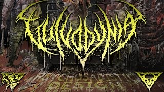 Vulvodynia  Grotesque Schizophrenia Feat Martin Funderud of Kraanium OFFICIAL HD AUDIO [upl. by Aisena]