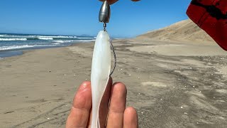 PESCA en PLAYA con ARREGLO TEXAS  PESCA de ORILLA [upl. by Eedeed24]