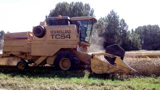 NEW HOLLAND TC 54DEUTZ FAHRMOISSON BLE 2016 [upl. by Barrada938]