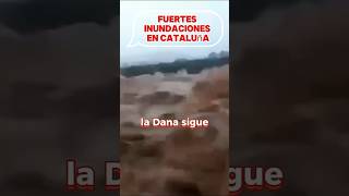 FUERTES INUNDACIONES DEJA EL PASO DE LA DANA POR CATALUÑA BARCELONA Y TARRAGONA MUY AFECTADOS [upl. by Airetnahs778]