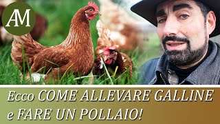 Come allevare le galline e fare un pollaio  Avicoltura e Pollaio [upl. by Hbaruas651]