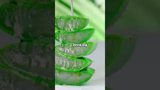 Amazing Benefits of Aloe Vera [upl. by Lettie]