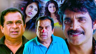 Ragada Hindi Dubbed Movie Scenes  Nagarjuna Anushka Priyamani Brahmanandam [upl. by Don]