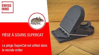 Piège à Souris SuperCat SWISSINNO [upl. by Enaywd957]